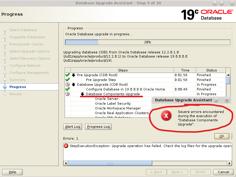 在Oracle 19c 数据库中升级和配置文件脚本