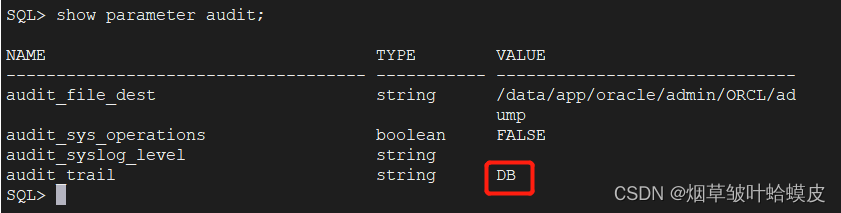 安全策略：如何oracle设置密码复杂度及设置超时退出的功能