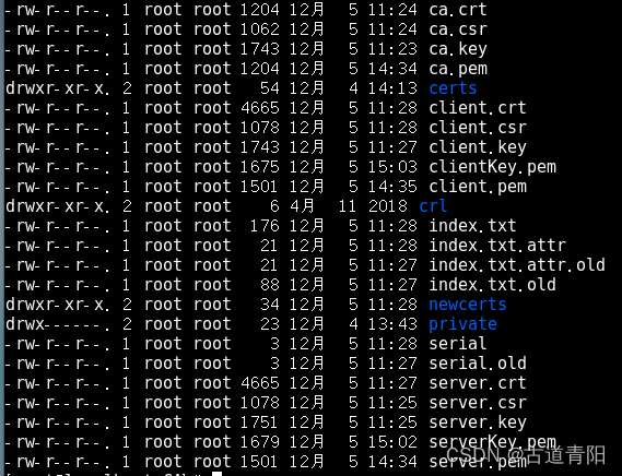 Linux环境下生成openssl证书方法和注意事项