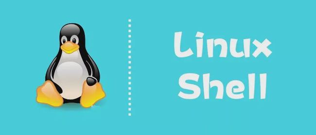 linux基础命令：shell常用脚本命令相关知识