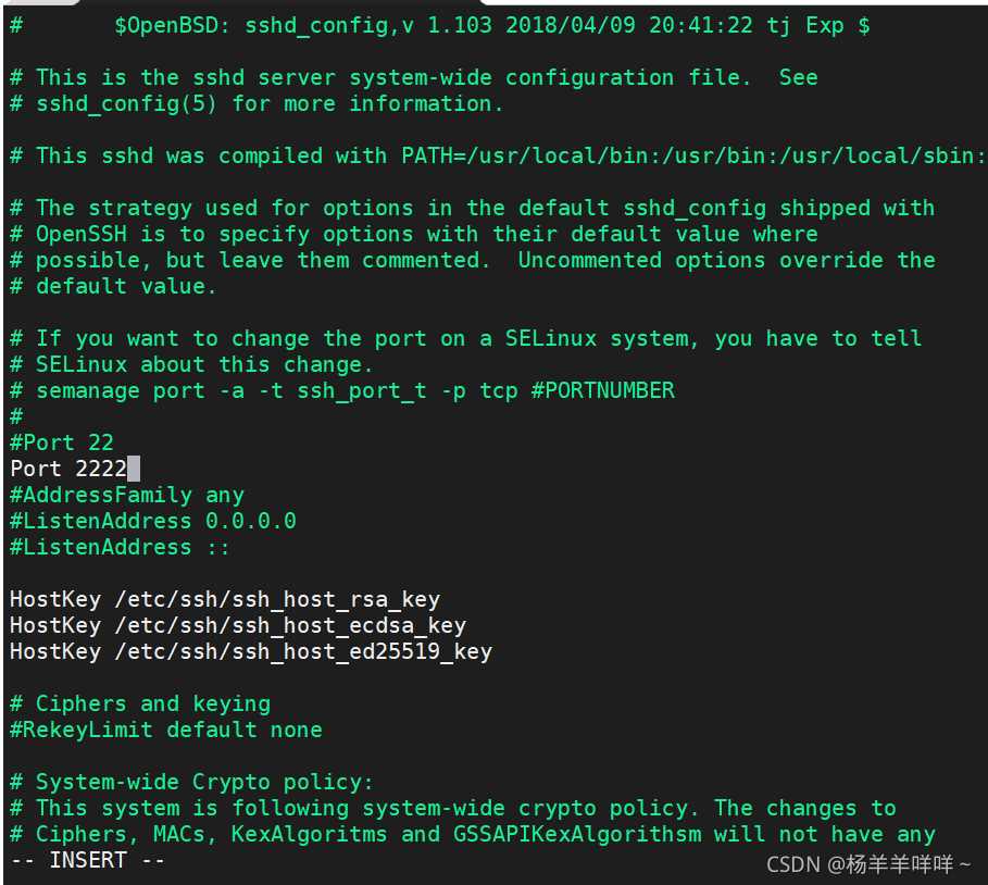 Centos8系统环境下如何修改ssh端口号方法